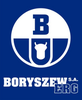 Boryszew Erg